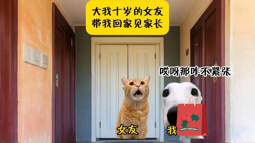 小红帽穿越记是真的吗？这剧情反转也太多了！