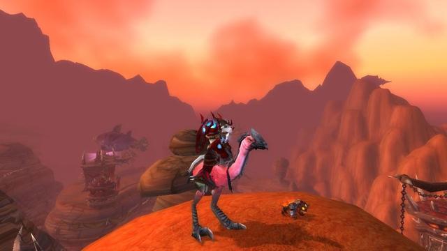 迅捷爱情鸟靠谱吗？真实用户评价大揭秘！