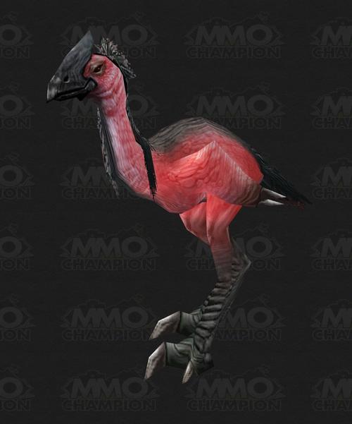 迅捷爱情鸟靠谱吗？真实用户评价大揭秘！