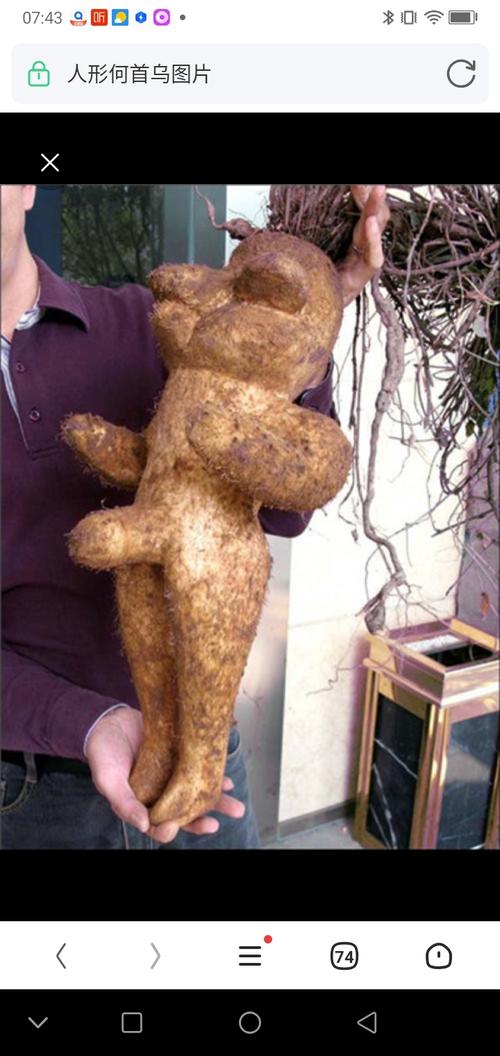 首无是什么？带你了解这种神秘的生物！