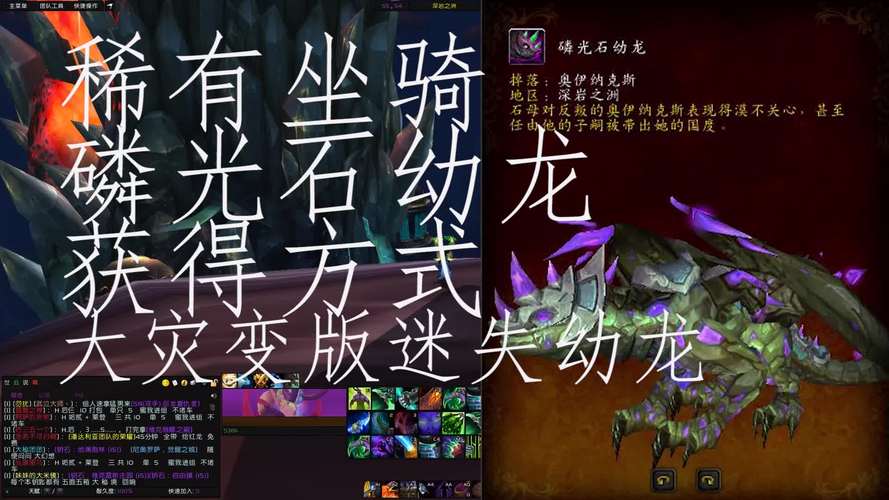 磷光石幼龙在哪抓？最佳捕捉地点大揭秘！