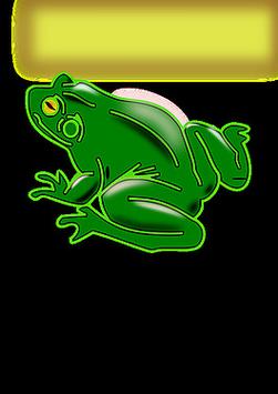 蛙下载：手机上怎么免费下载安装这个软件？