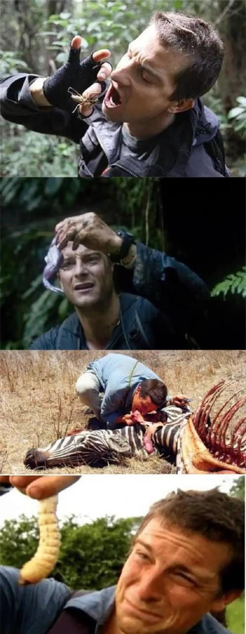 荒岛求生2:体验真实的荒岛生存冒险