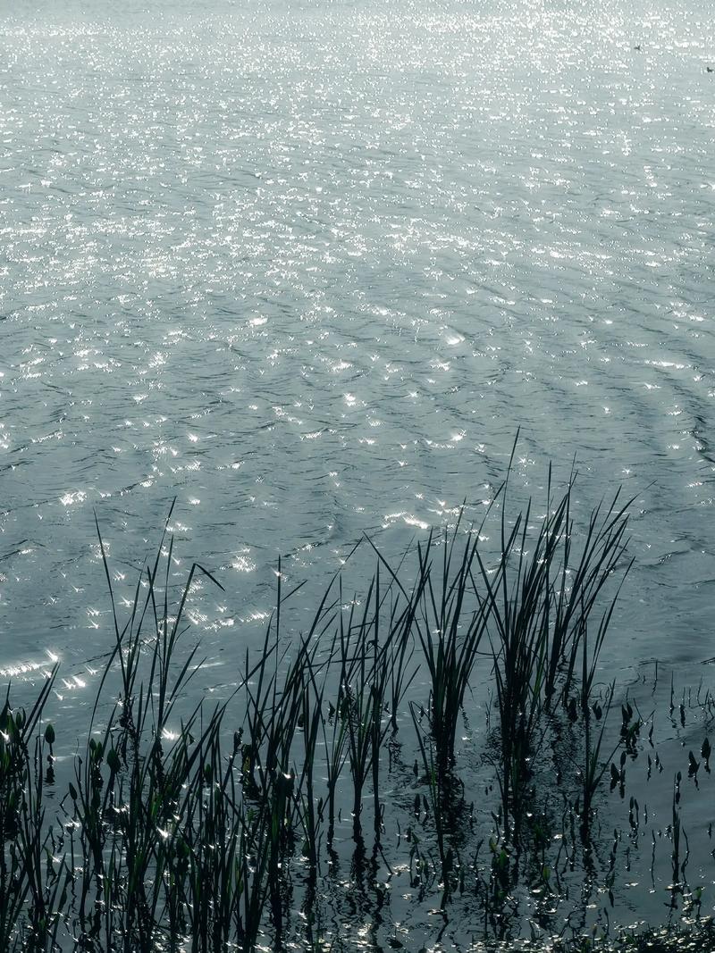 水光潋滟晴方好描写的是哪里的景色？揭秘杭州必玩景点！