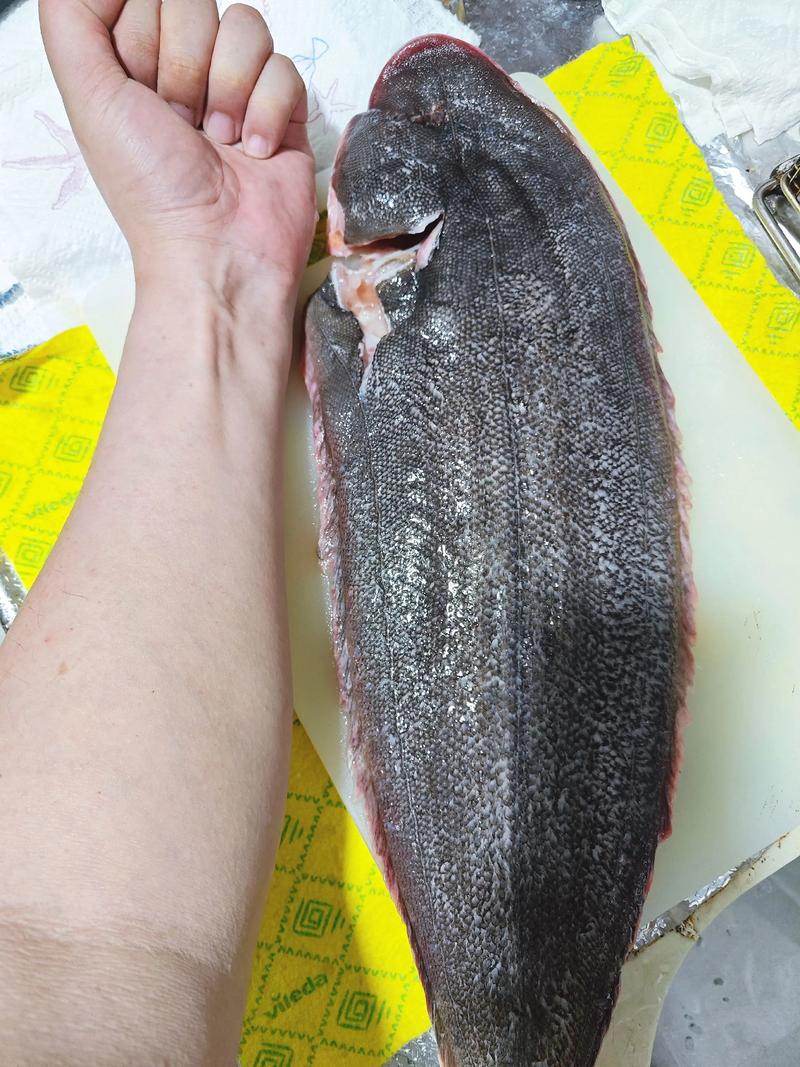 鳎目鱼是龙利鱼还是巴沙鱼？一篇文章快速揭秘区别真相！