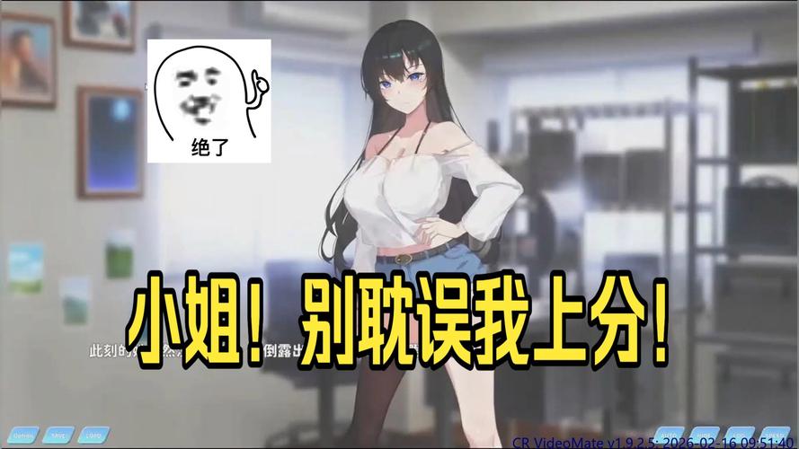 被耽误我上分安卓汉化详细教程