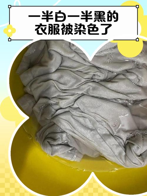 如何获取《被染黑的新婚妻子》最新版本的实用教程